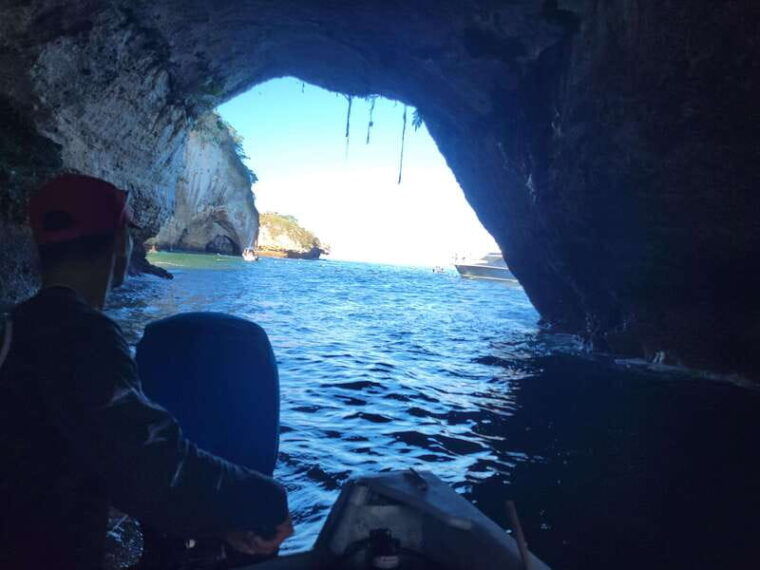 puerto-vallarta-3-hour-whale-watching-and-snorkeling