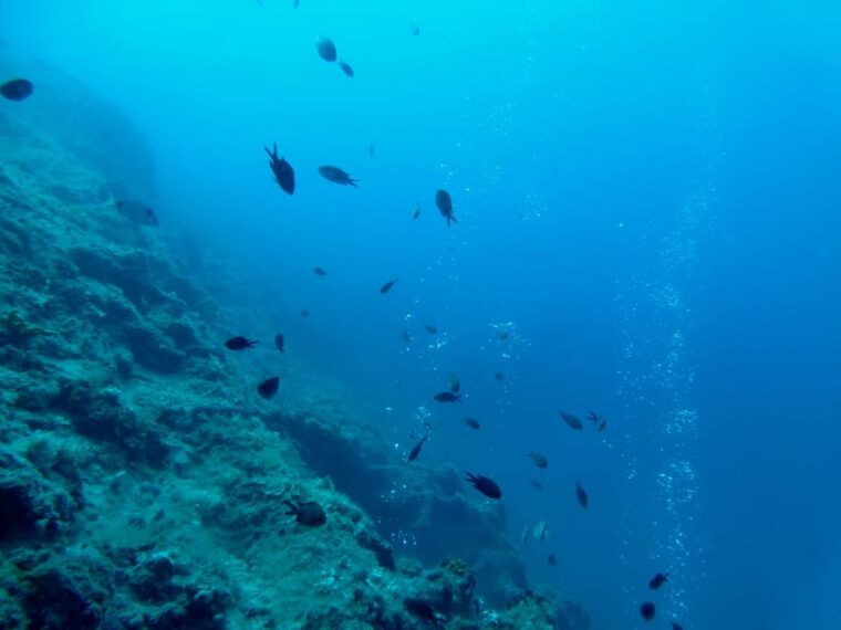 pula-introduction-to-scuba-diving