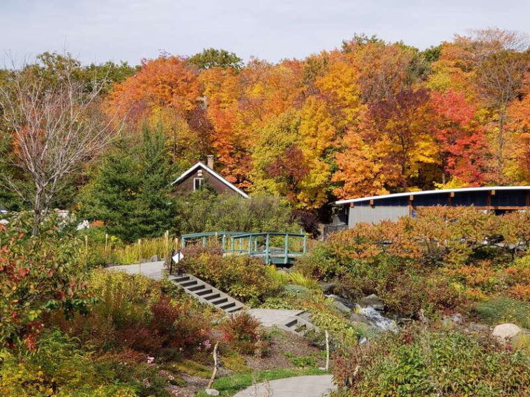 quebec-aquarium-of-quebec-entry-ticket