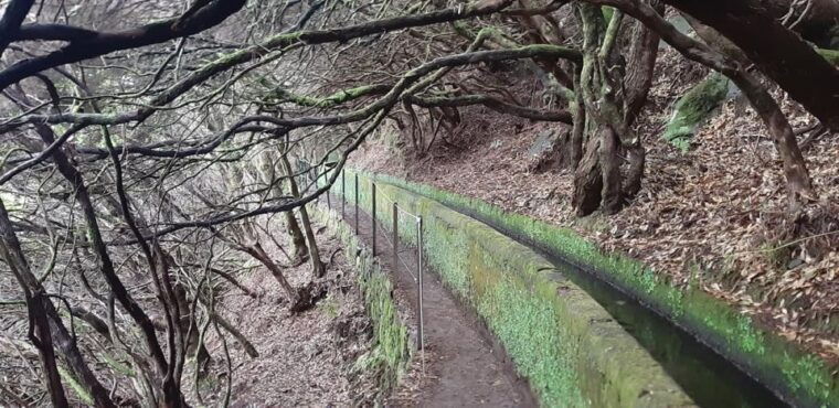 rabacal-25-fontes-risco-levada-transfer-self-guided-hike