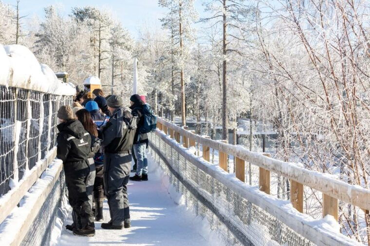 ranua-wildlife-park-entrance-ticket