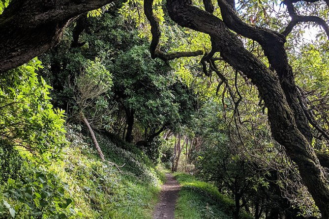 Remutaka Rail Trail Explorer - eBike Cruise Ship Shore Excursion - FAQs