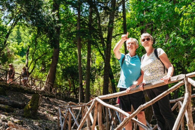 rhodes-filerimos-hill-and-butterfly-valley-bus-trip