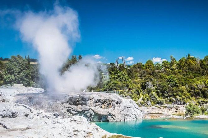 Rotorua Full Day Private Tour from Auckland - Final Words