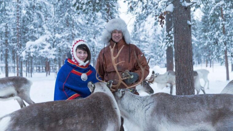 rovaniemi-reindeer-farm-visit-and-sleigh-ride-with-transfer