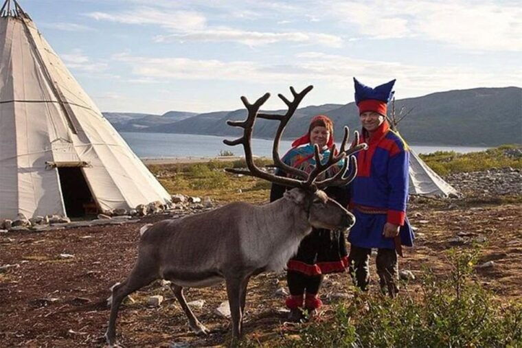 rovaniemi-reindeer-farm-visit-in-the-summer