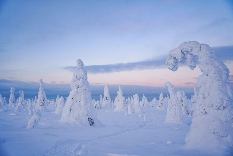 rovaniemi-riisitunturi-national-park-day-trip-with-lunch