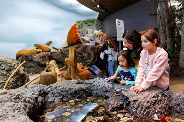 royal-b-c-museum-in-victoria-full-day-admission-ticket