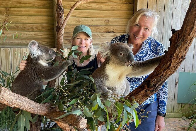 Royal National Park Hike, Swim and Wildlife Tour - Note:  