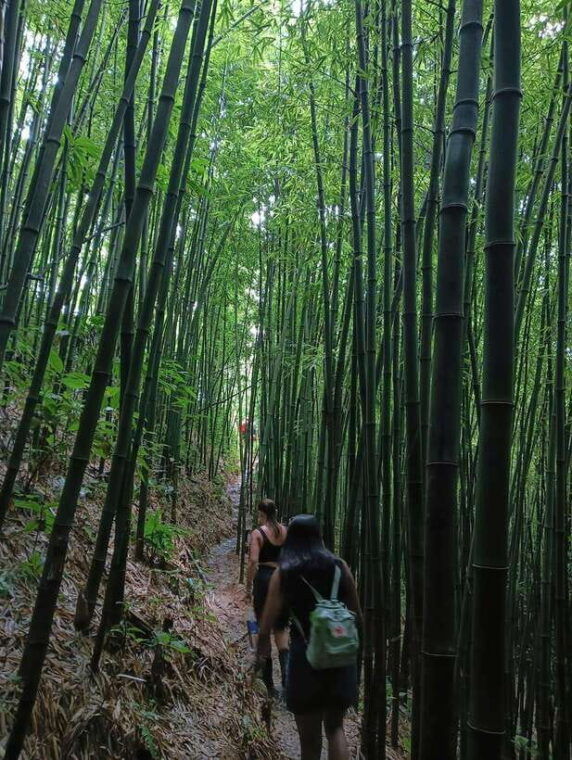 sa-pa-2-day-trekking-tour-with-ethnic-minority-homestay