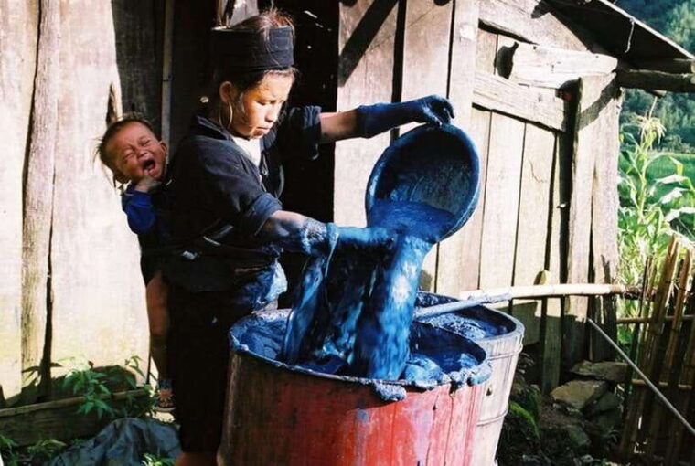 sa-pa-muong-hoa-valley-trek-and-local-ethnic-villages