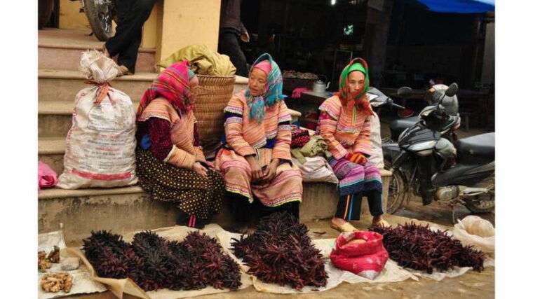 sa-pa-sunday-bac-ha-market-group-tour