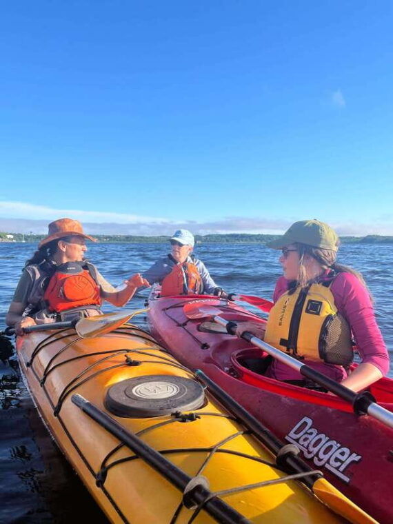 saint-john-river-river-relics-kayak-tour