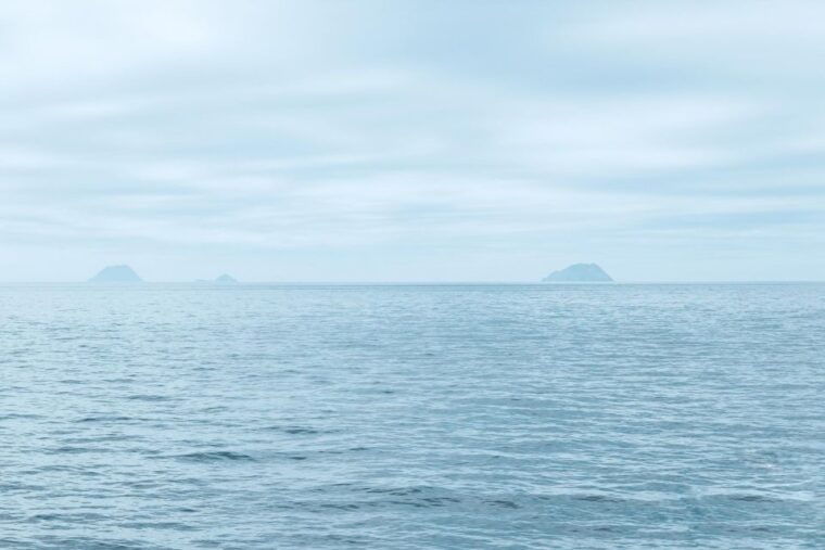 san-diego-whale-and-dolphin-watching-cruise