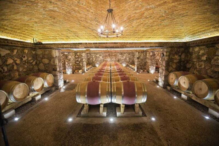 san-jose-lavista-wiinery-vineyard-tasting-aperitif