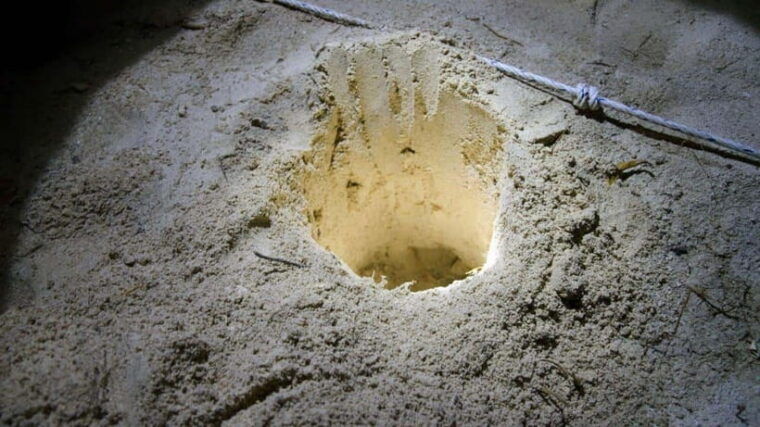 sandakan-2-days-1-night-at-turtle-island
