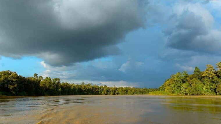 sandakan-2-days-1-night-bilit-kinabatangan-river-wildlife