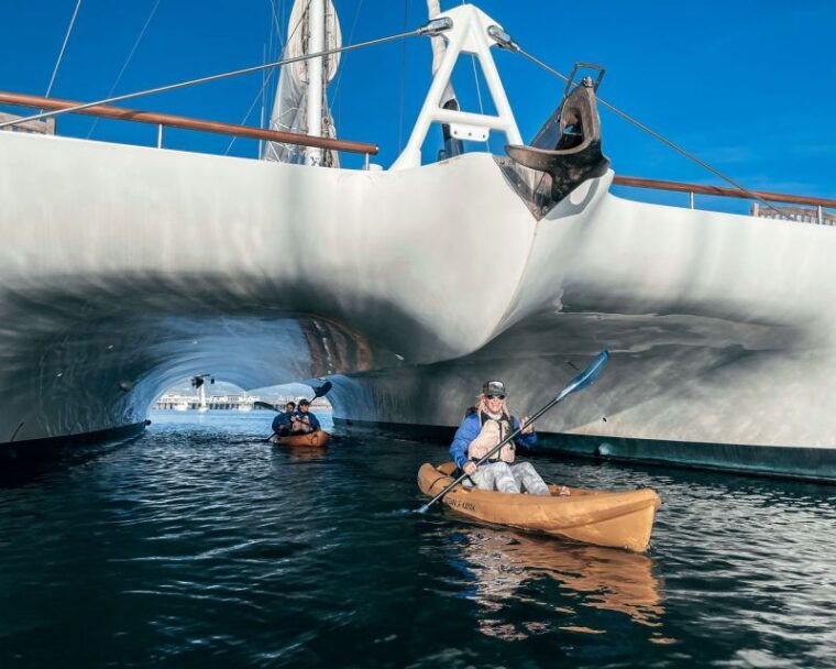 santa-barbara-harbor-wildlife-kayak-tour-2-hours