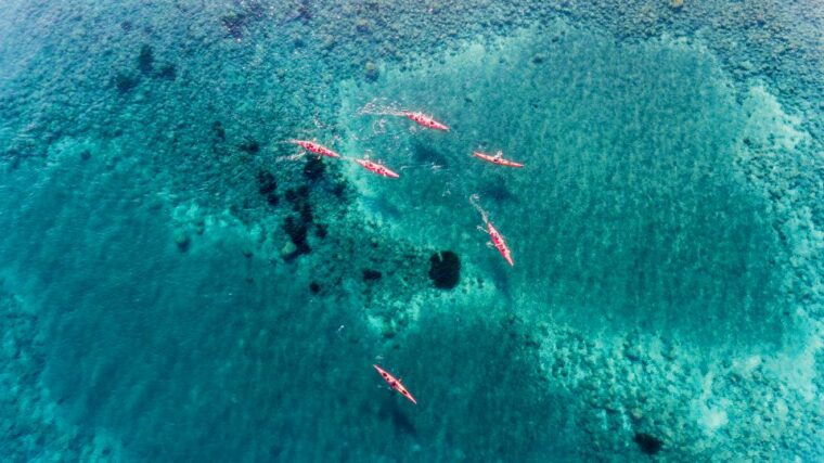 santorini-sea-kayaking-with-light-lunch-2