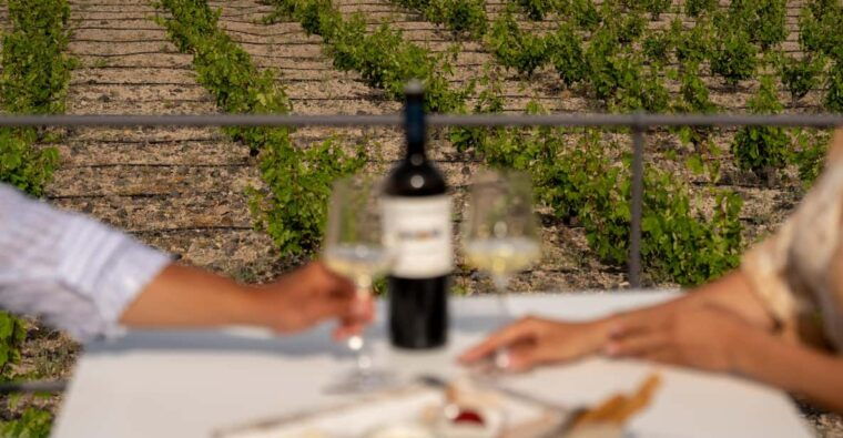 santorini-wine-o-clock-wine-tasting-private-tour