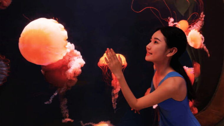 sanya-atlantis-lost-chambers-aquarium