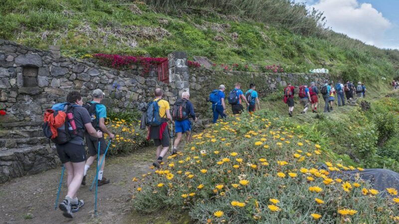 sao-miguel-ribeira-funda-hike-tea-plantation-with-lunch