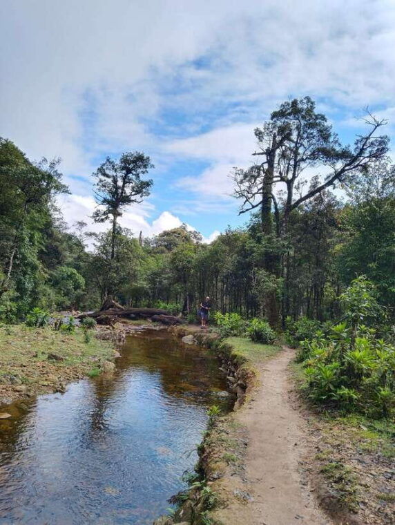 sapa-climb-up-to-fansipan-mountain-with-local-guide