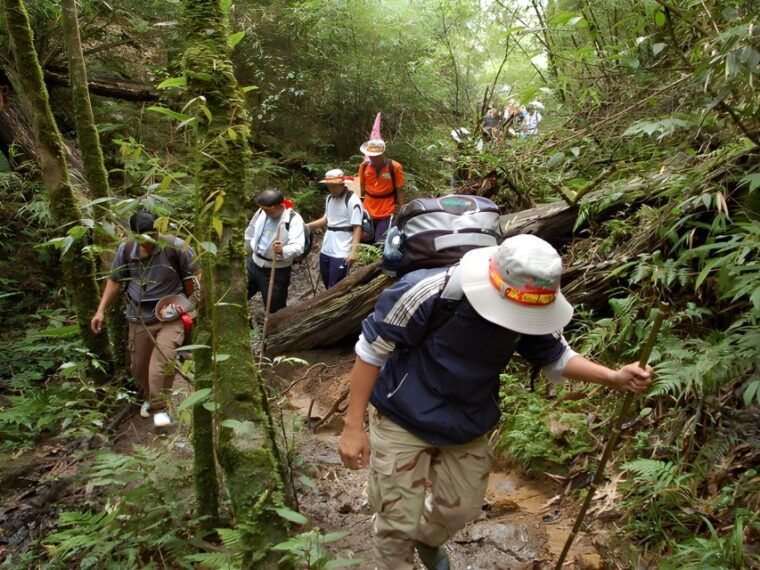 sapa-epic-1-day-trek-to-fansipan-mountain-peak