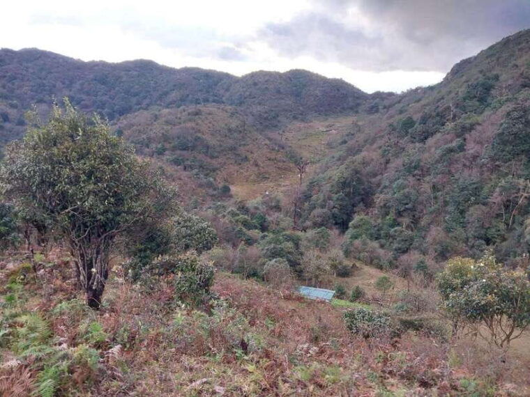 sapa-fansipan-mountain-2-day-trekking-tour