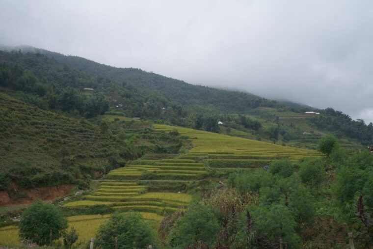sapa-full-day-hike-to-ta-phin-cat-cat-village-with-lunch