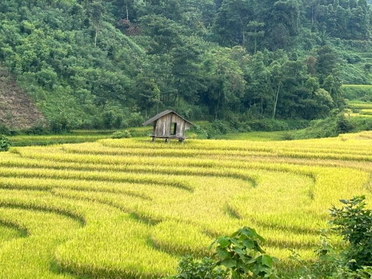 sapa-motorbike-tour-1-day-visit-waterfalls-local-villages