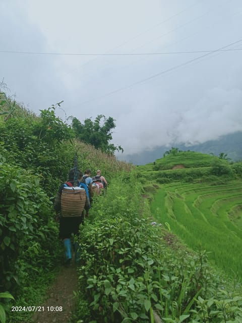 sapa-trekking-rice-fields-local-villages-bamboo-forest
