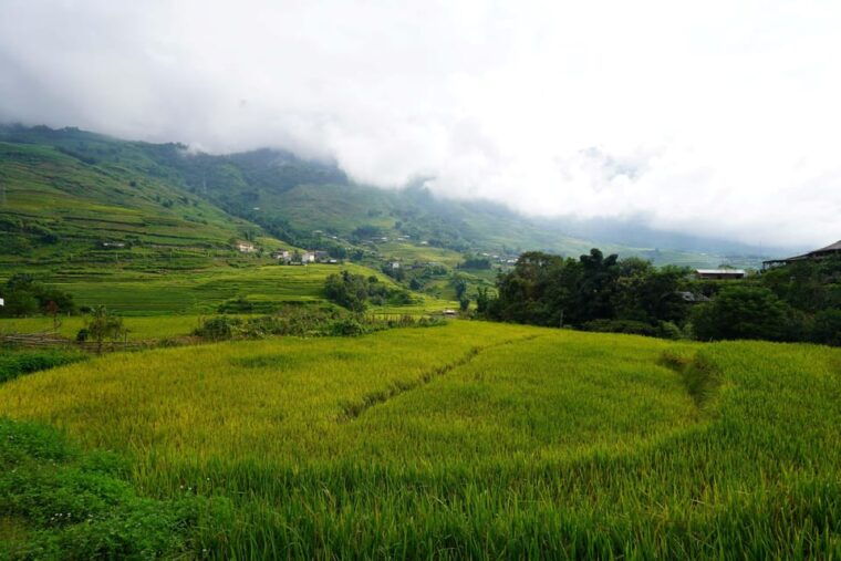 sapa-trip-to-y-linh-ho-lao-chai-ta-van-cat-cat-village