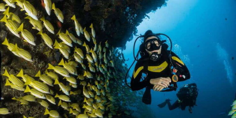 scuba-diving-in-hikkaduwa
