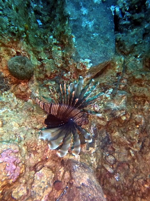 scuba-diving-in-the-volcanic-caldera-shorelines-of-santorini