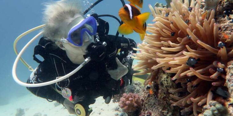 scuba-diving-in-trincomalee
