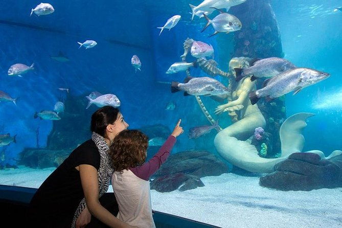 SEA LIFE Melbourne Aquarium Admission Ticket - FAQs