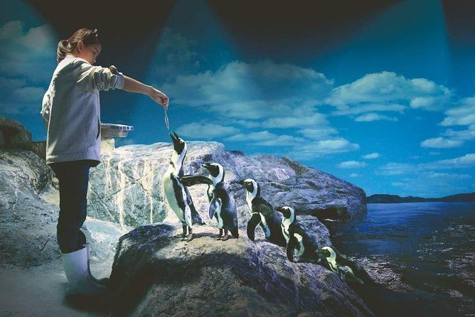 SEA LIFE Ocean World at Bangkok Admission Ticket - Final Thoughts