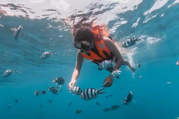 semporna-mataking-island-hopping-with-snorkel-shared-tour
