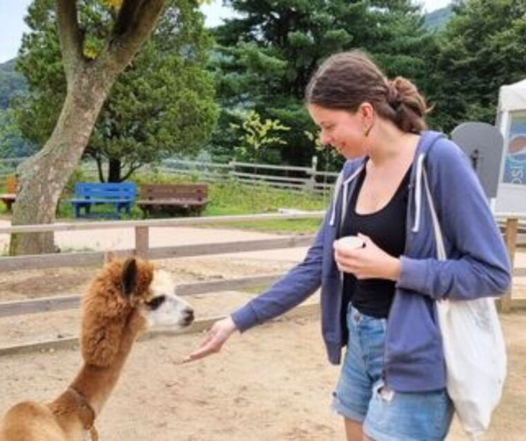 seoul-gangwon-do-day-trip-with-alpaca-world-nami-island