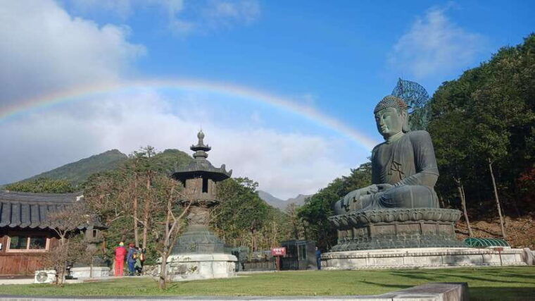 seoul-korea-spring-cherry-blossom-day-tour