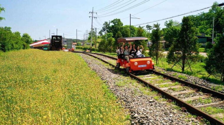 seoul-nami-island-garden-of-morning-calm-tour-rail-bike