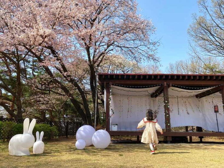 seoul-nami-island-petite-france-morning-calm-railbike
