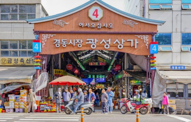 seoul-temple-vegan-cooking-class-oriental-medicine-tour