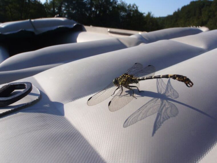severin-na-kupi-canoeing-and-kayaking-on-the-kupa-river