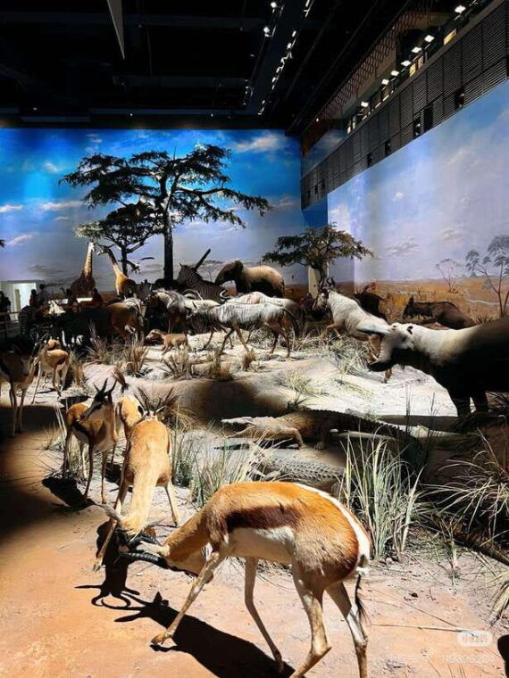 shanghai-natural-history-museum-with-tickets