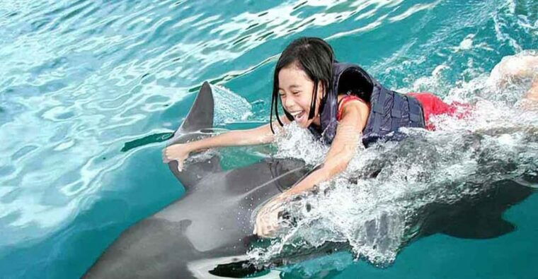 side-alanya-swimming-with-dolphins