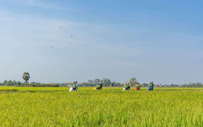 siem-reap-sunset-guided-vespa-tour-local-villages
