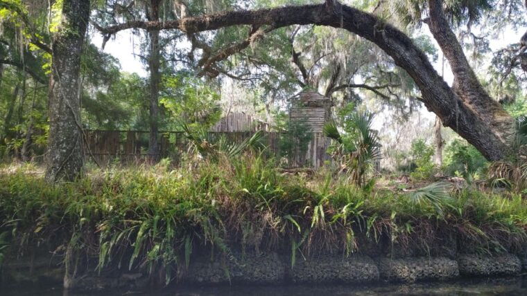 silver-springs-manatee-kayaking-tour