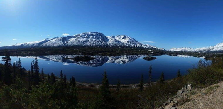 skagway-klondike-highway-yukon-bus-tour-with-husky-kennel-2
